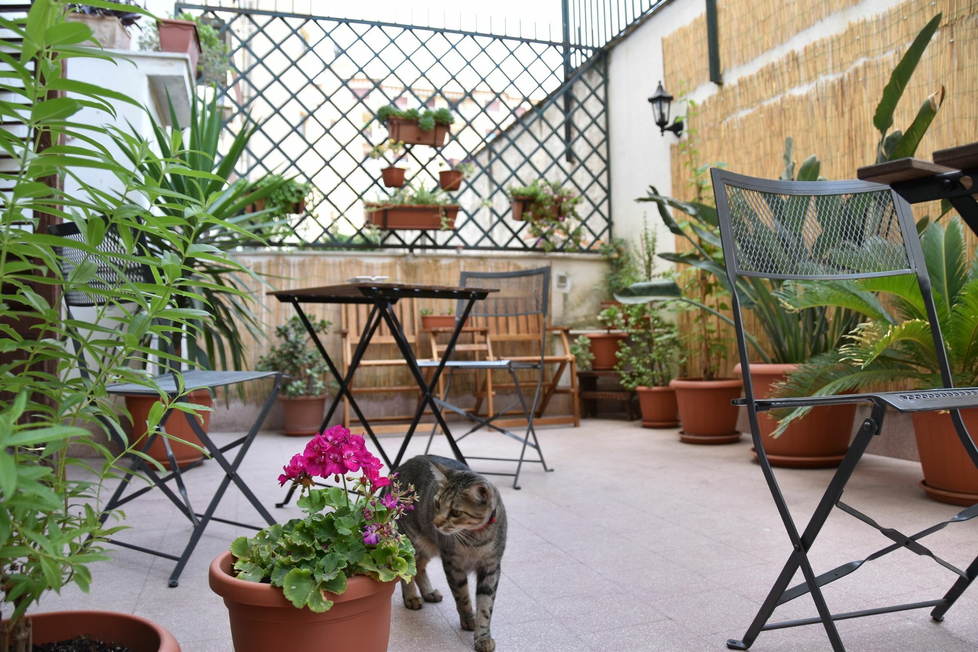 Il Lapino Hotel Palermo Ngoại thất bức ảnh