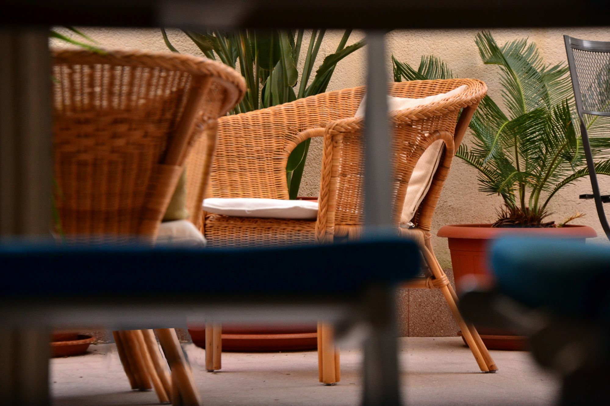 Il Lapino Hotel Palermo Ngoại thất bức ảnh